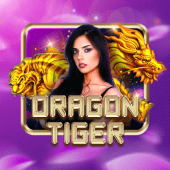 Dragon Tiger bee ph live casino